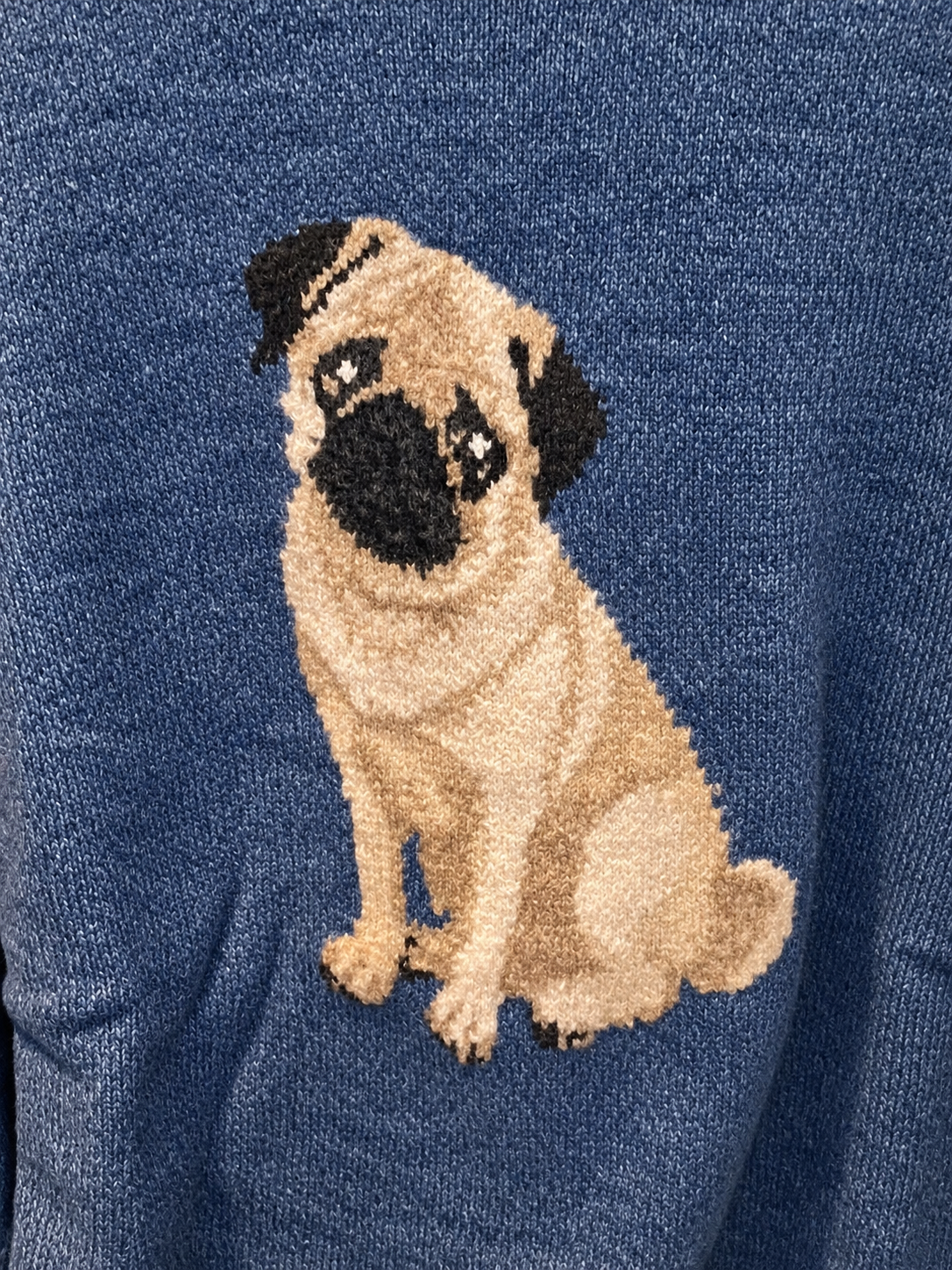 Coco's Cozy Pullover Sweater