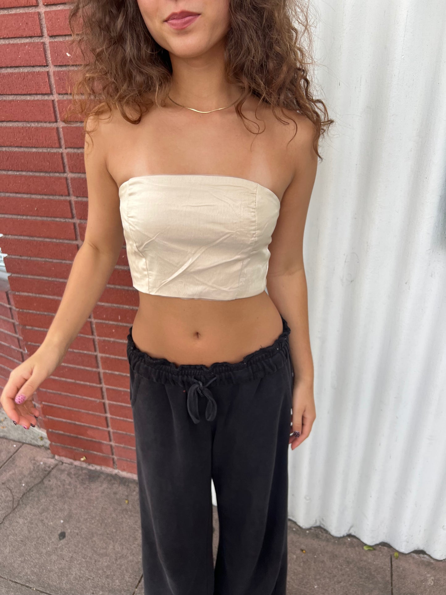 Shimmer Tube Top
