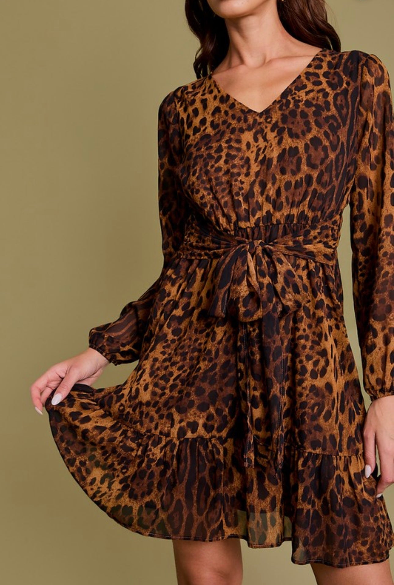 Namir Leopard Print Dress