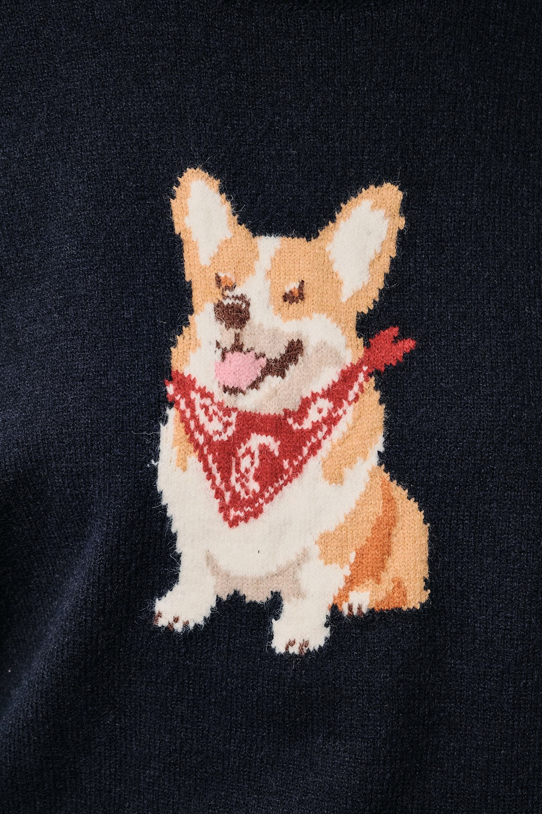 Corgi Knit Sweater