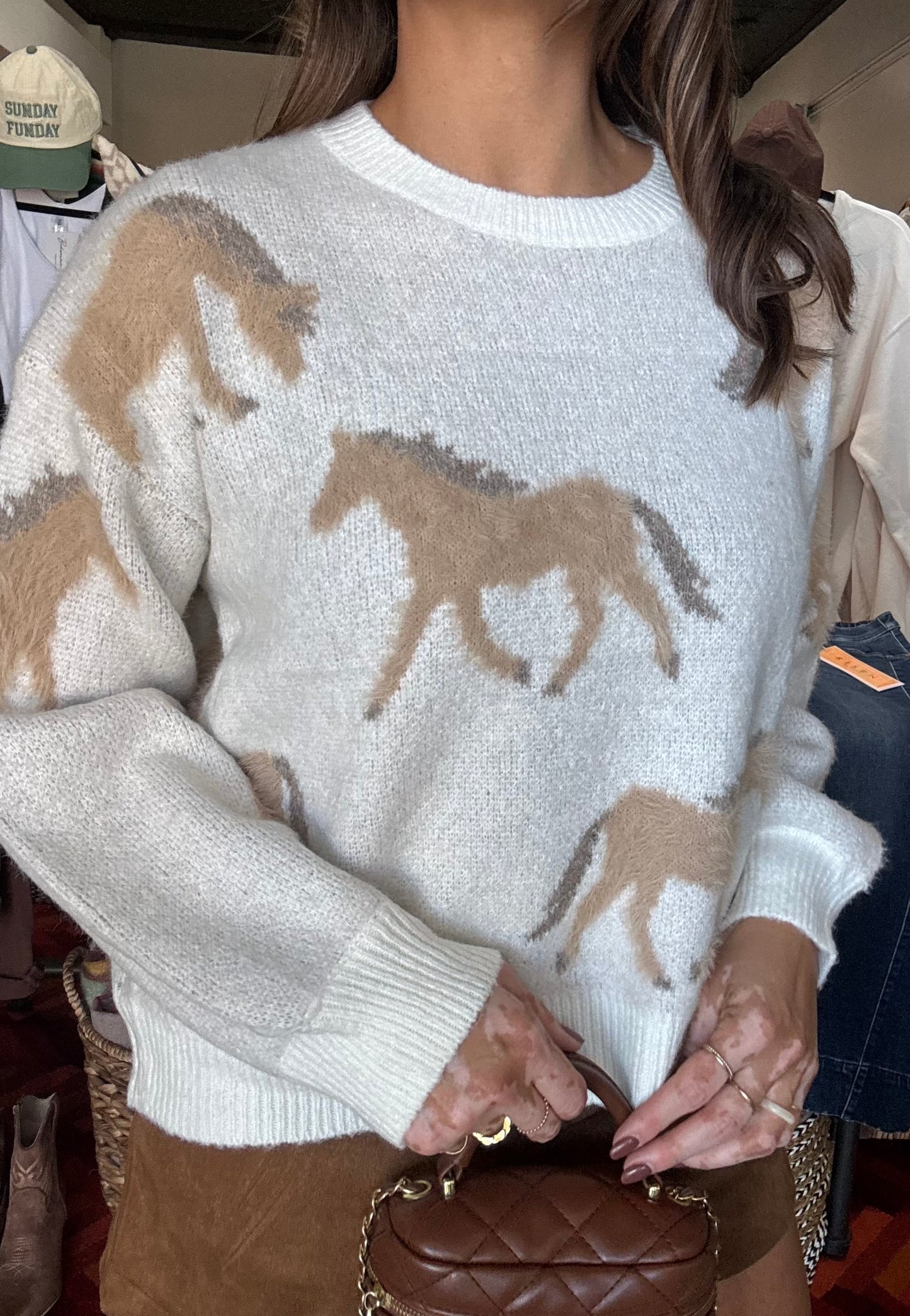 Wild Horses Cozy Pullover Sweater