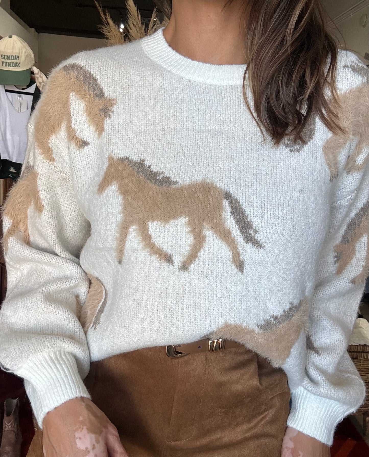 Wild Horses Cozy Pullover Sweater