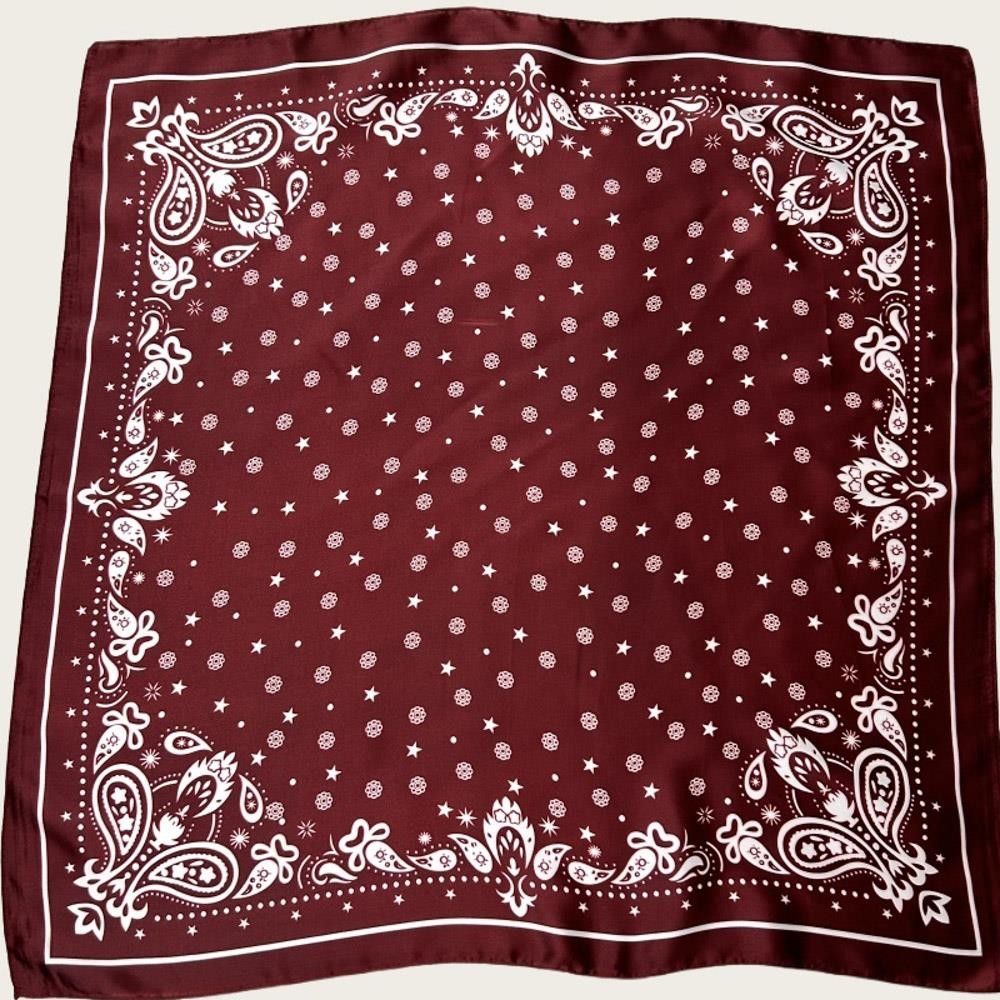 Driftwood Paisley Scarf