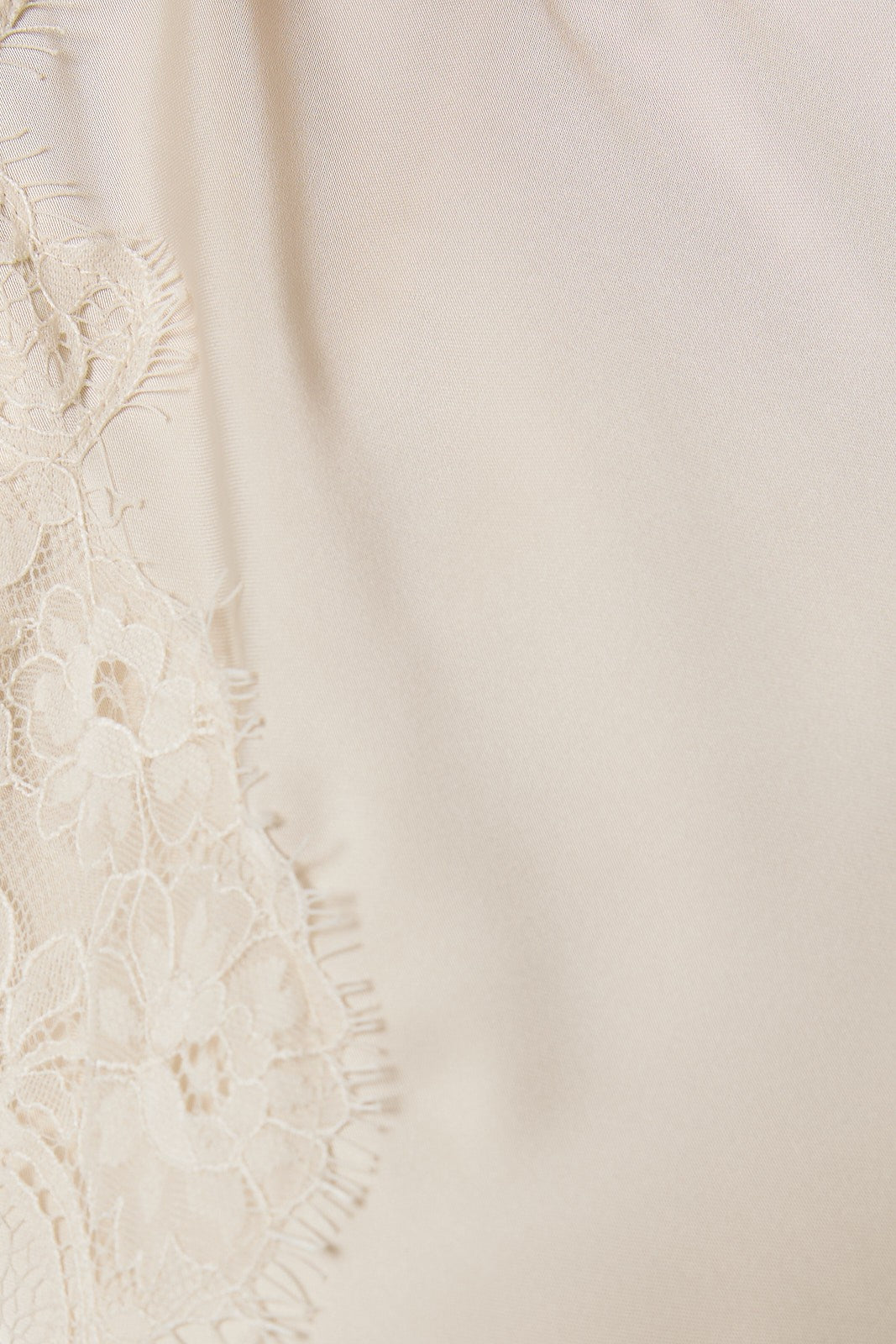 Lace & Grace Mini Dress