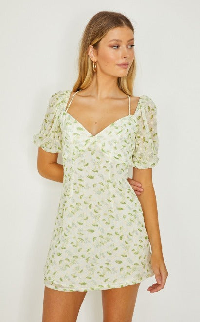 Amelia Mini embroidery Dress