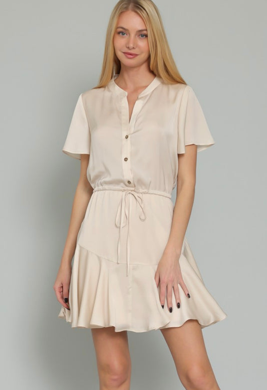 Best Wishes Mini Dress